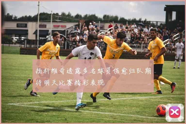 扬科维奇透露多名球员伤愈归队期待明天比赛精彩表现