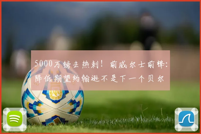 5000万镑去热刺！前威尔士前锋：降低期望约翰逊不是下一个贝尔