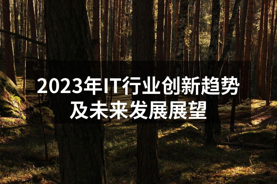 2023年IT行业创新趋势及未来发展展望